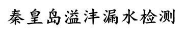 秦皇岛溢沣漏水检测